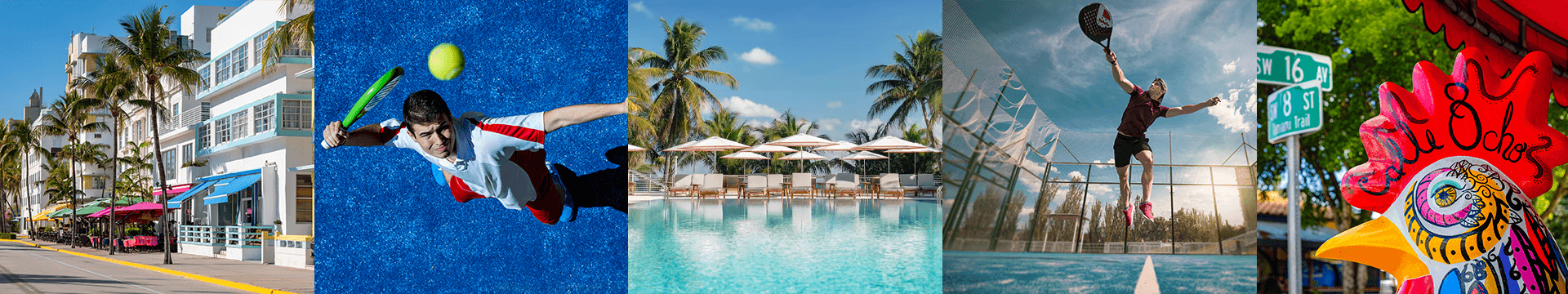 Miami Art Deco, padel players, resort pool, and Little Havana scenes