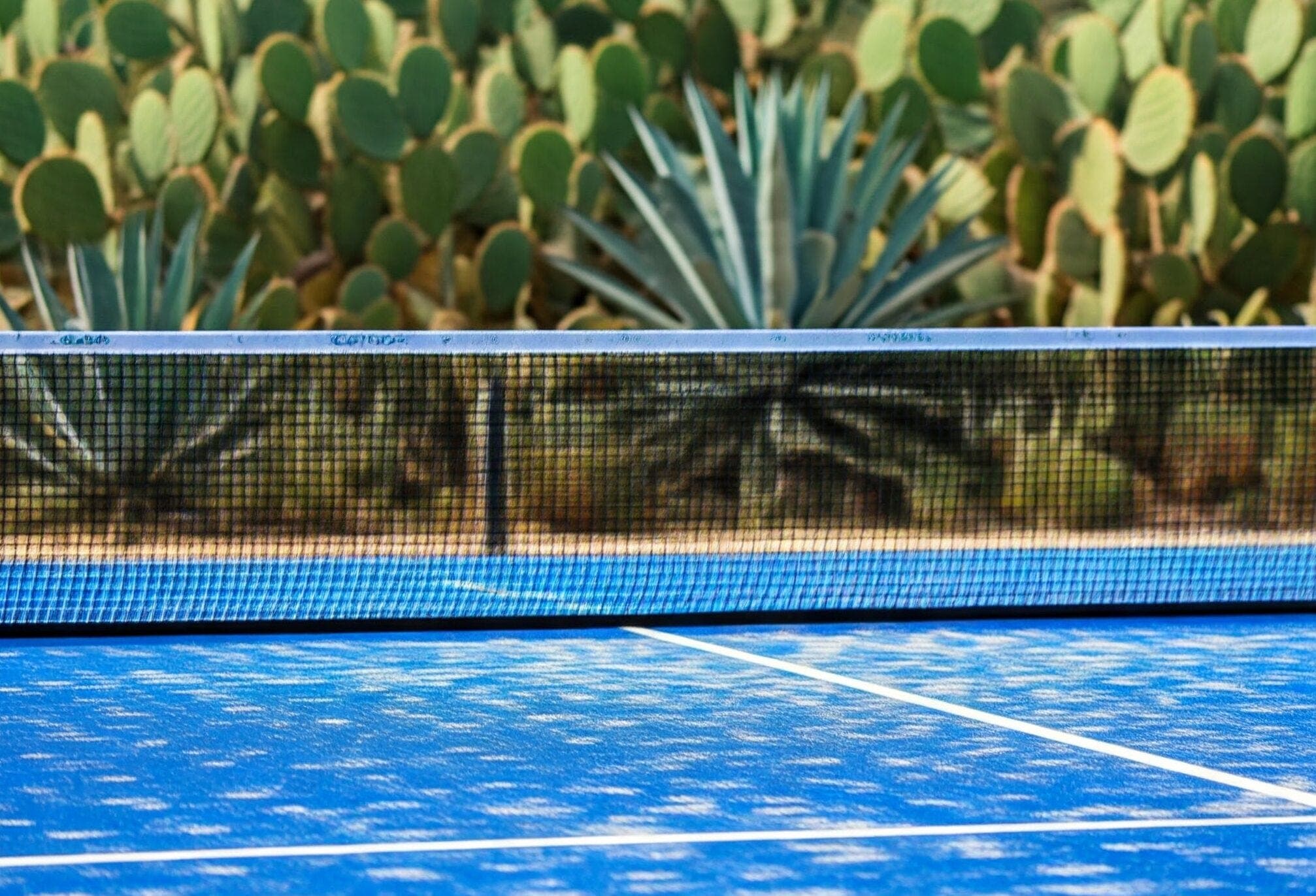 Padel Finally Starts to Bloom in the Arizona Desert